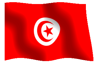 tunisiaflag
